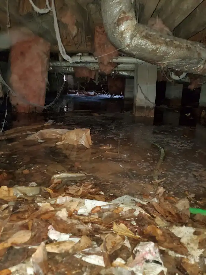 Crawl space flood assessment for Leak Detection & Repair in DeSoto