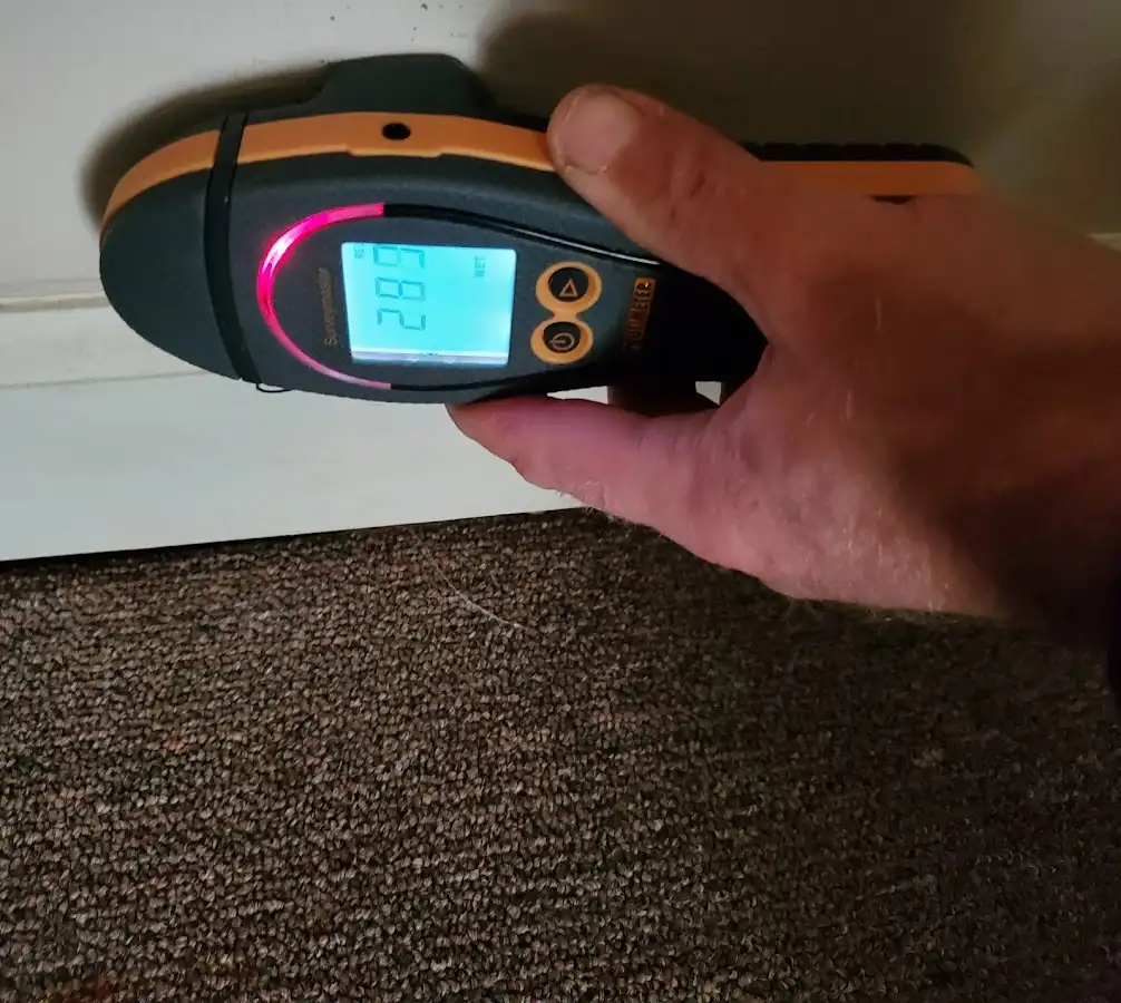 Moisture detection at baseboard during Sewage Cleanup & Sanitation in DeSoto